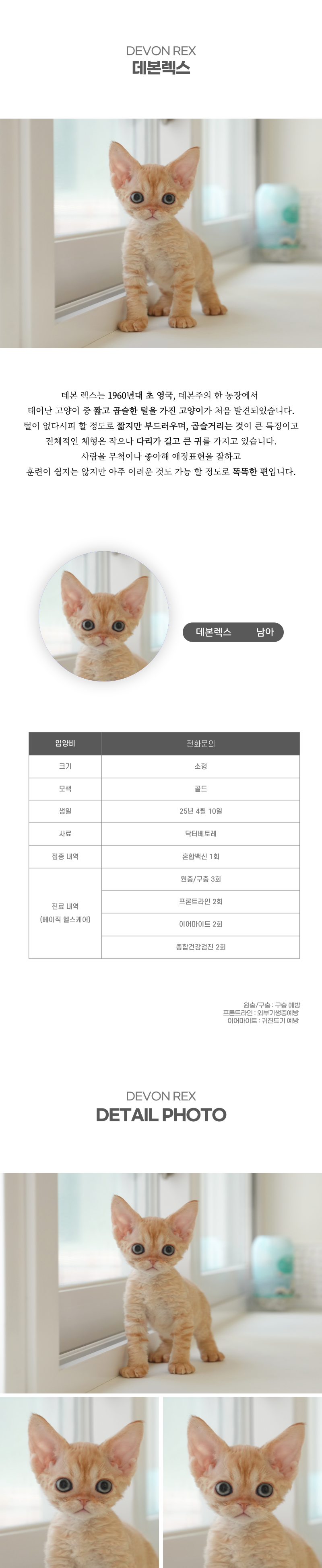 데본렉스_상세이미지_2